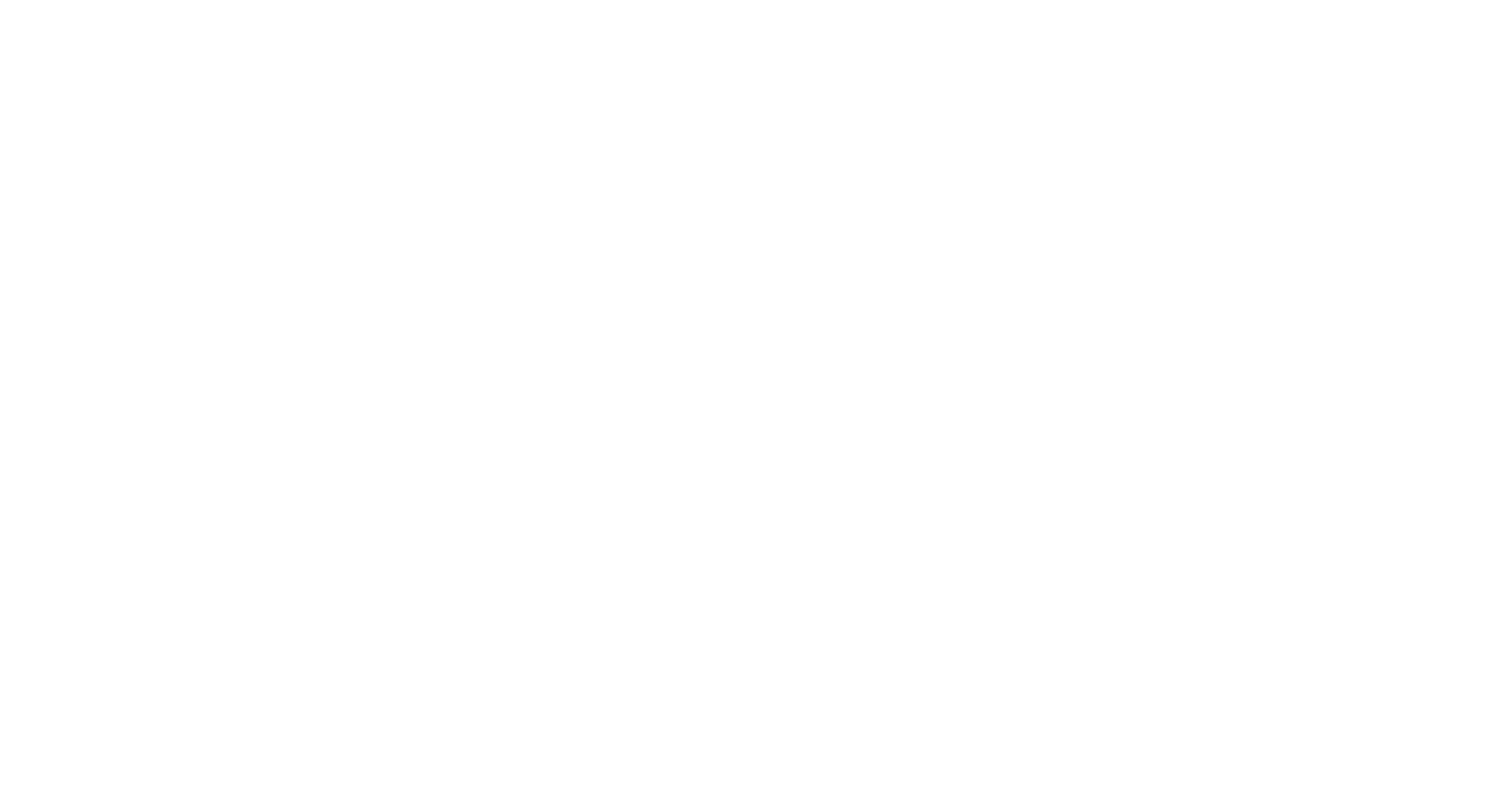 smarticky